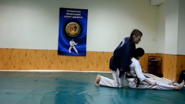 Всемирная Федерация Джиу-Джитсу и Кобудо (WJJF/WJJKO) смотреть онлайн