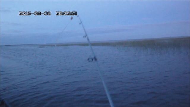 на финский залив за краснопёркой смотреть онлайн