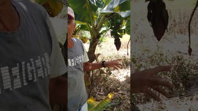 louco por motos ademilson смотреть онлайн