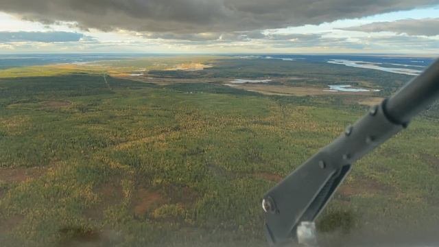 Быстрая посадка