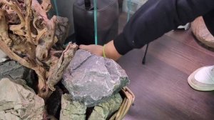 Магазин Микрокосм/Раскрываем все секреты!/Обзор мини-флорариумов Bioloark.