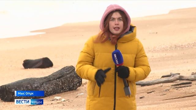 Экзотические птицы прилетели зимовать в Крым смотреть онлайн