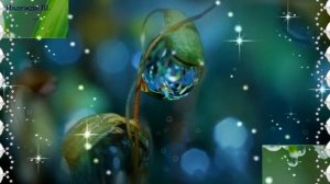 Я ЖИВУ В КАПЕЛЬКЕ РОСЫ. Песня для души Арина Ритц