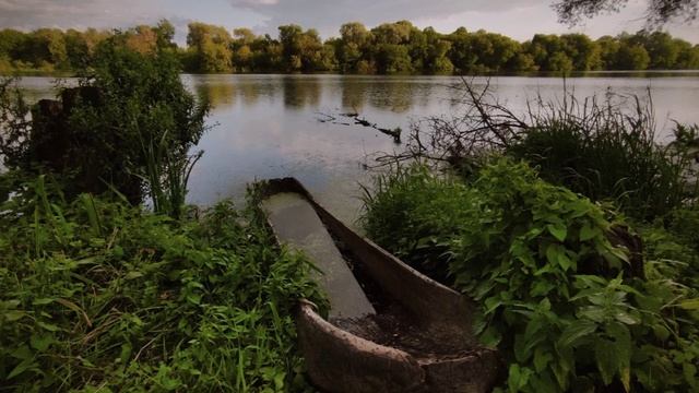 "БАХ В КОЛОМНЕ"... (Фото Татьяны Соловьёвой (коломна) - Московский Камерный оркестр)