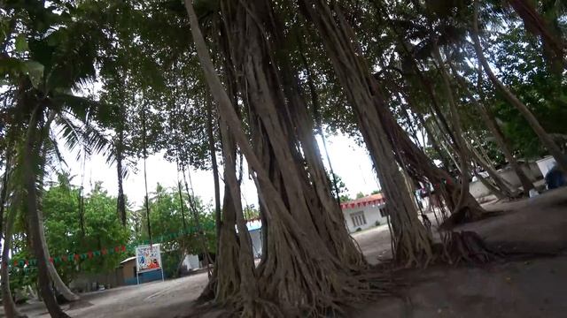 МАЛЬДИВЫ. ПЛАВАЕМ С АКУЛАМИ. ШОК РУСЛАНЫ. смотреть онлайн