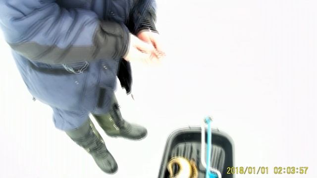 Сямозеро налим смотреть онлайн