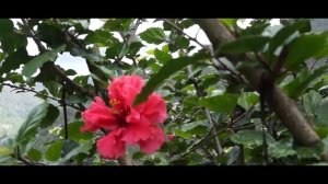 Sony A3500