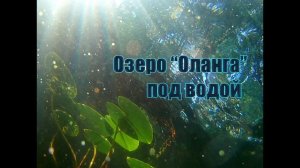 Озеро "Оланга", подводные съёмки