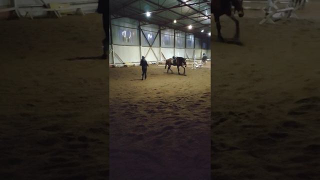 Болеро корда 26.01.20 смотреть онлайн