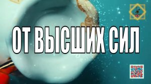 ПОДСКАЗКИВАМОТ ВЫСШИХ СИЛ #youtubeshorts #olgabo666888999 #youtube