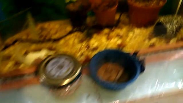 плёнка для тёплого пола- под аквариумы.