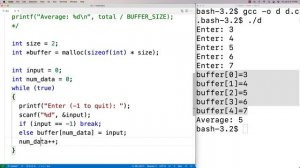 Infinite Input Buffer | C Programming Example