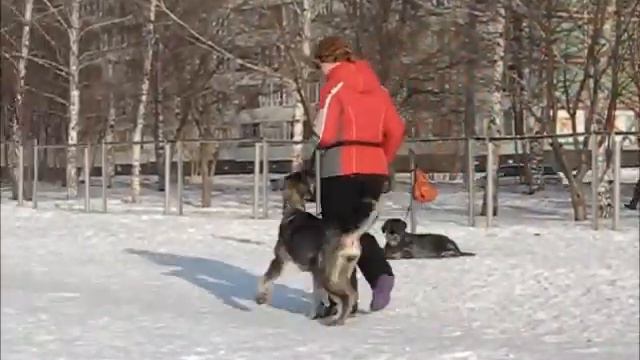 Послушание 1.wmv смотреть онлайн