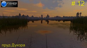 Путь к серебряному кубку ч.5: страдания по краснопёрке. Пруд Дукора. # 12. Прохождение Fisher Online