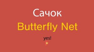 Сачок по-английски