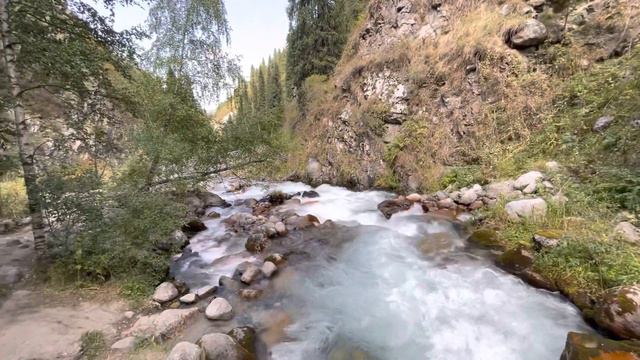 Ущелье Алма - Арасан. Шум горной реки. Kazakhstan. Nature. смотреть онлайн