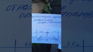 Виноград без проблем. Советы начинающим.  Лучшие сорта Черноземья.