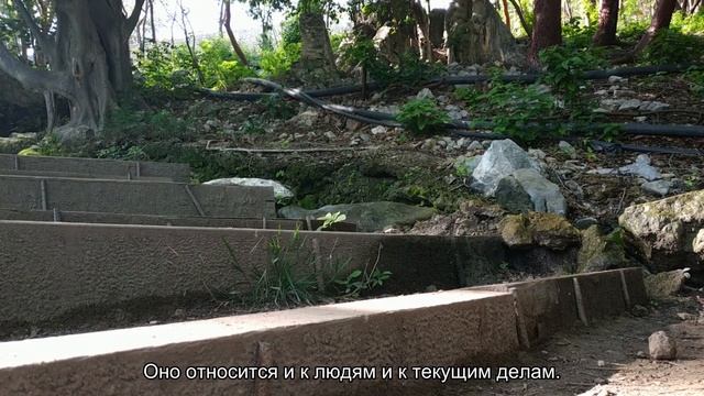 К чему снится вода? Толкование сна и его значение по сонникам Фрейда и Миллера
