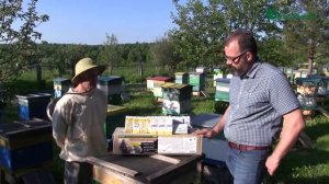 100 Карамультуков от варроатоза пчел к 100 Башкортостана