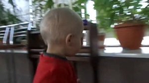 Аутизм, рядки и рядочки, странные игры, игнорирование, 2,5 года