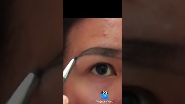 tutorial alis смотреть онлайн