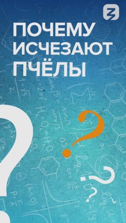 Почему исчезают пчелы?