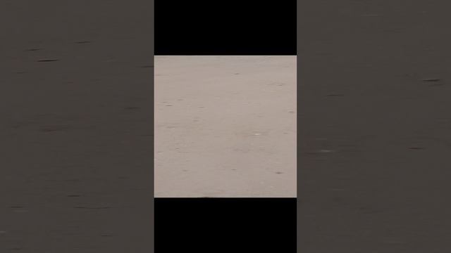 ано