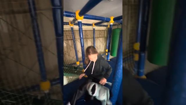 Сняли пародию на Гарри Потного смотреть онлайн