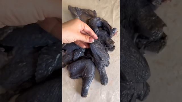 Чёрная курица
