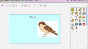 Проект ПервоЛого по теме Птицы нашего края
