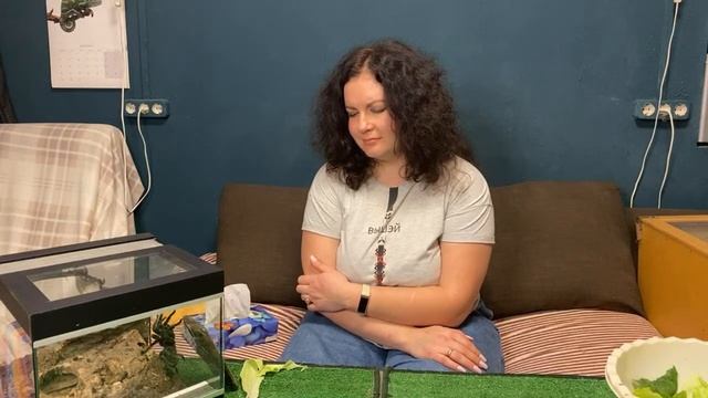 Стрим страшных животных!? смотреть онлайн