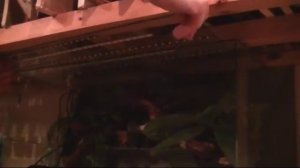 Светодиодная подсветка в аквариум своими руками.