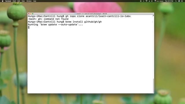 bash: gh command not found | Mac Tutorial смотреть онлайн