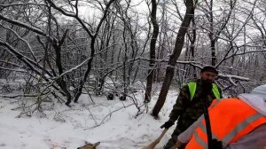 Лучшая охота на косулю! Огромное множество коз!