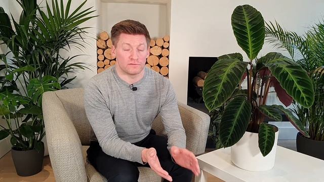 Calathea Jungle Velvet Care - Essential Tips For Growing A Stunning Calathea warscewiczii. смотреть онлайн