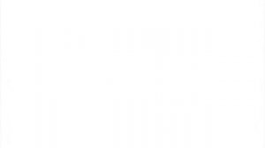 Getrag DCT300 HDT300