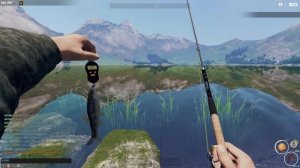 Fisher online|л. Шотландия | Гольян озерный