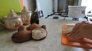 Birch Polypore Tea.Чай из березового трутовика.Часть 2.