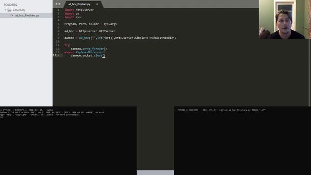 Python - Ad hoc webserver смотреть онлайн