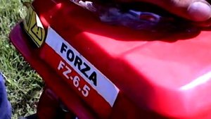 Двигатель FORZA 6.5 л.с.