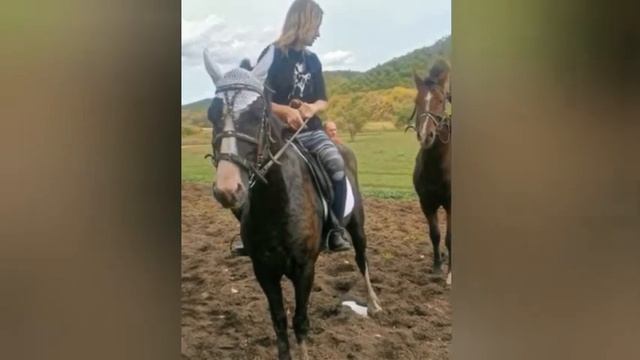 ДЕВУШКИ на Втором Конном Слёте. Дорвались до лошадок. смотреть онлайн