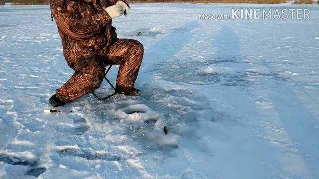 Первый лёд. Зимняя рыбалка на удочку. смотреть онлайн
