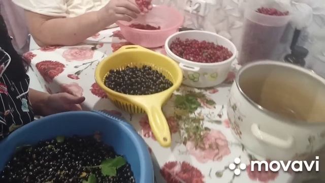 ДОМА У МАМОЧКИ / ДЕРЕВЕНСКИЕ БУДНИ /ПАРФЮМ Deparis