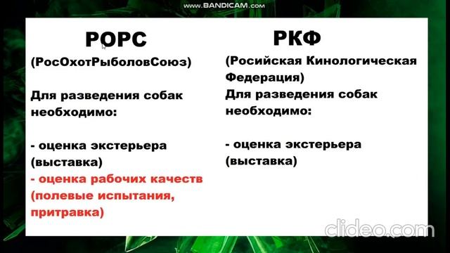 ✅ Махинации с родословными. РКФ ✅ Лайки Соловьева Ю.В.✅