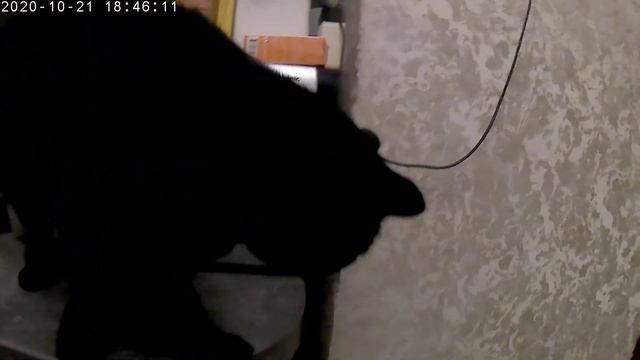 Снятно на экшн-камеру DENN DAC411 Качество 1080 60фпс. Покупка в FixPrice/Что купил в FixPrice.