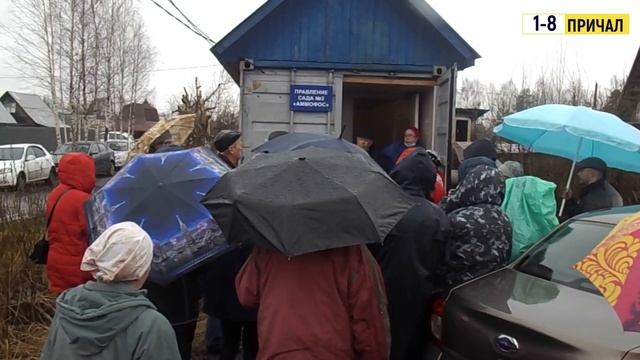 СОБРАНИЕ СНТ АММОФОС №2. САМЫЕ #ЖАРКИЕ #МОМЕНТЫ СОБРАНИЯ. смотреть онлайн