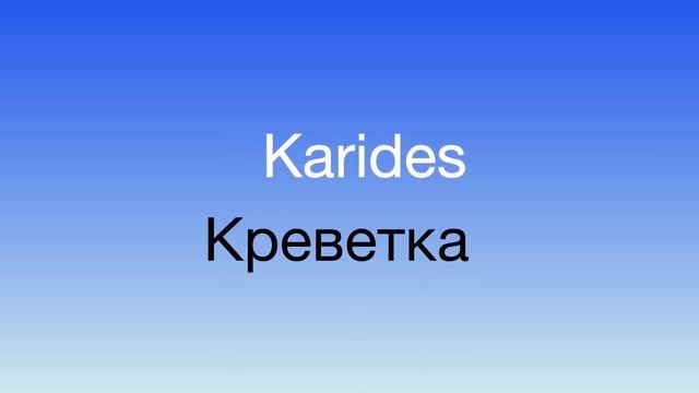 Изучаем названия продуктов питания на турецком языке