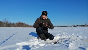 Окунь зимой.  Как и на что ловить окуня.
