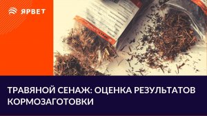 Оценка заготовки сенажа по анализам. Как читать анализ кормов?