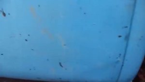 ЗИЛ 130 Полный привод 4x4. Поездка за грибами. Russia off-road Zil 4x4